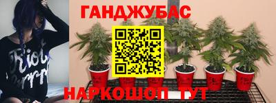 spice Канаш