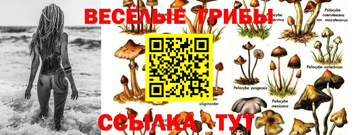 Галлюциногенные грибы мицелий  Псилоцибиновые грибы прущие грибы  Вход с VPN  Волоколамск 